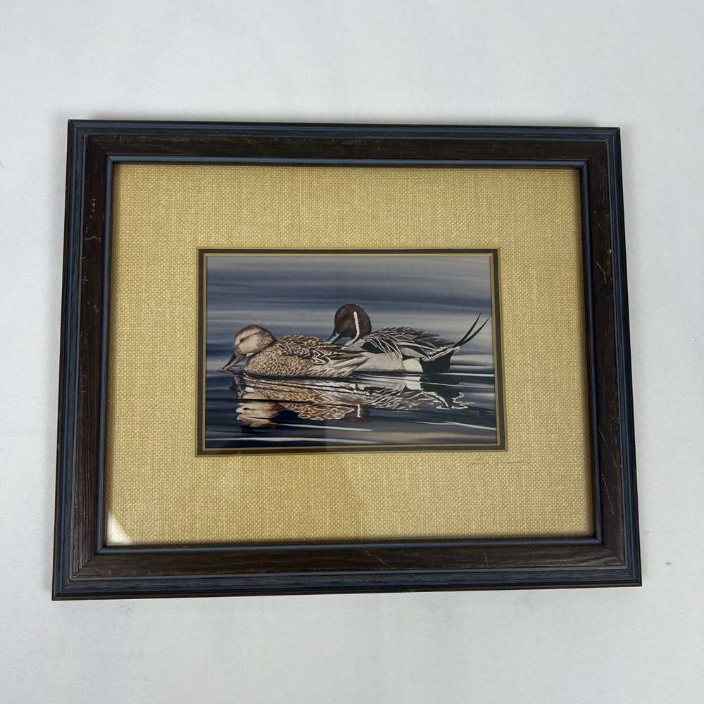 Steve Leonardi Wildlife Graphics Northern Pintail Ducks Framed Print Brown Good